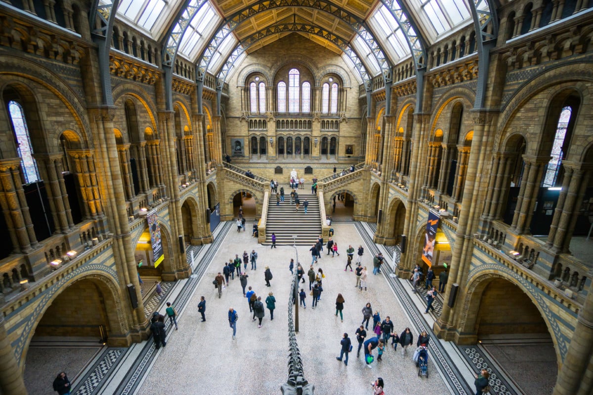 “The Hallway of the Natural History Museum with people inside”